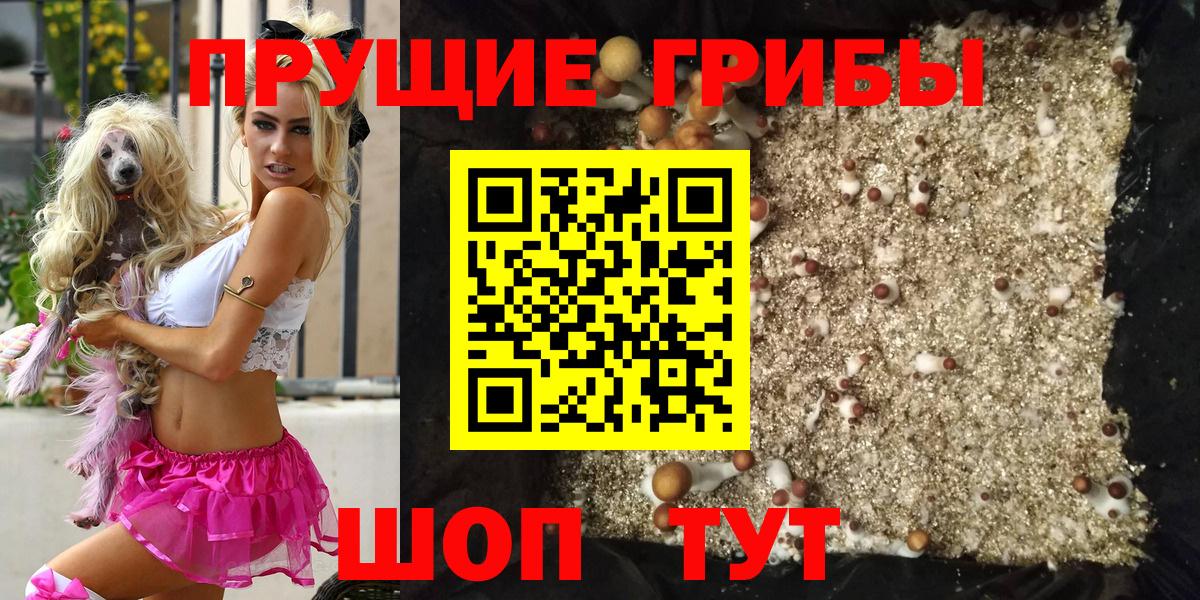 Новошахтинск  Галлюциногенные грибы Cubensis  купить закладку  Вход с VPN  Псилоцибиновые грибы Magic Shrooms 