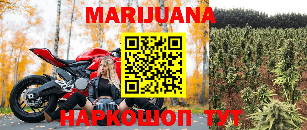 Бошки Шишки LSD WEED  Шишки марихуана планчик  Новошахтинск  Вход с VPN  Конопля White Widow  Канабис ГИДРОПОН 